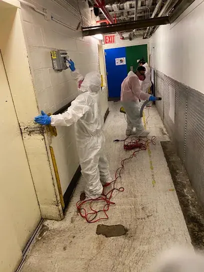Water damage technician drying a Brockton basement