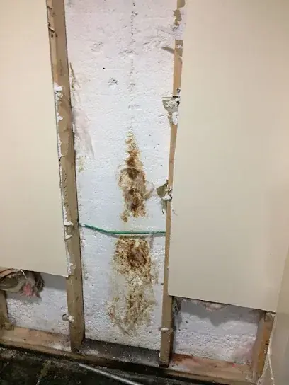 Water damage from a burst pipe inside a Brockton wall