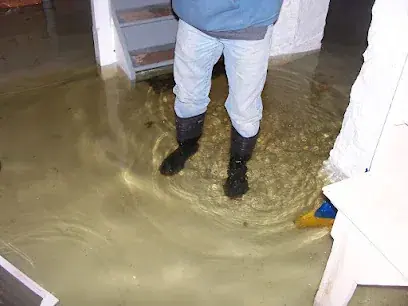 Flood damage cleanup in a Brockton, MA home