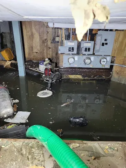 Sewage backup cleanup in a Brockton basement